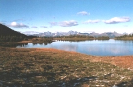 Looking north from Bob Lake