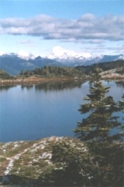 Whitehorn and Mount Robson