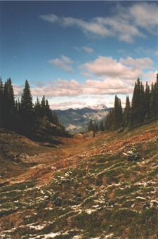 Along the trail, looking north